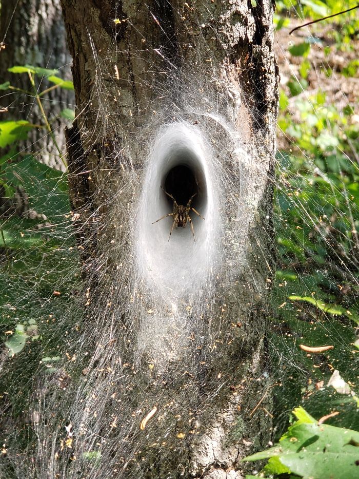 I Think I Found The Entrance To The Spider-Verse