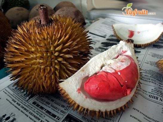 Sầu riêng ruột đỏ
