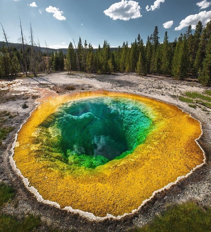 11. Established in 1872, Yellowstone is not only the first national park in the US and the world, but is also considered one of the largest national parks in the world with an area of ​​more than 9,000 km2, larger than the states of Rhode Island and Delaware combined.