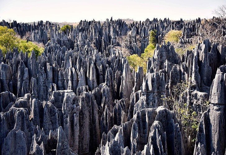 8. Tsingy de Bemaraha National Park This park located in Africa became famous because it was created with undulating rocks.  These caves were recognized by UNESCO as a World Heritage Site in 1990. They are a great destination for adventurers and tourists interested in nature.