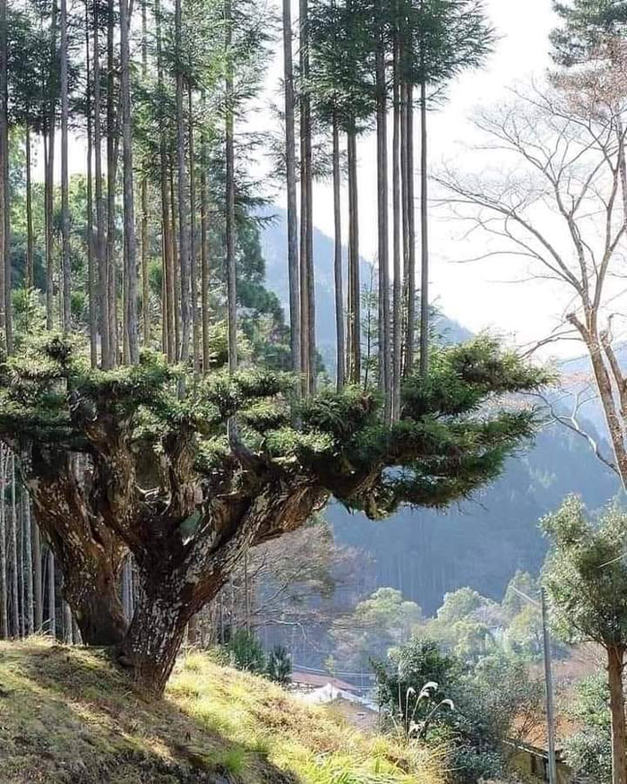 Interesting Photos Of Beautiful Things In The World