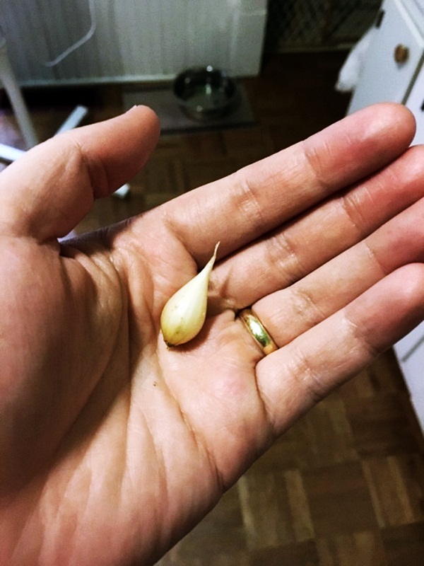 Miniature Fruits: A Glimpse into the Enchanting Realm of Elves - Special 68